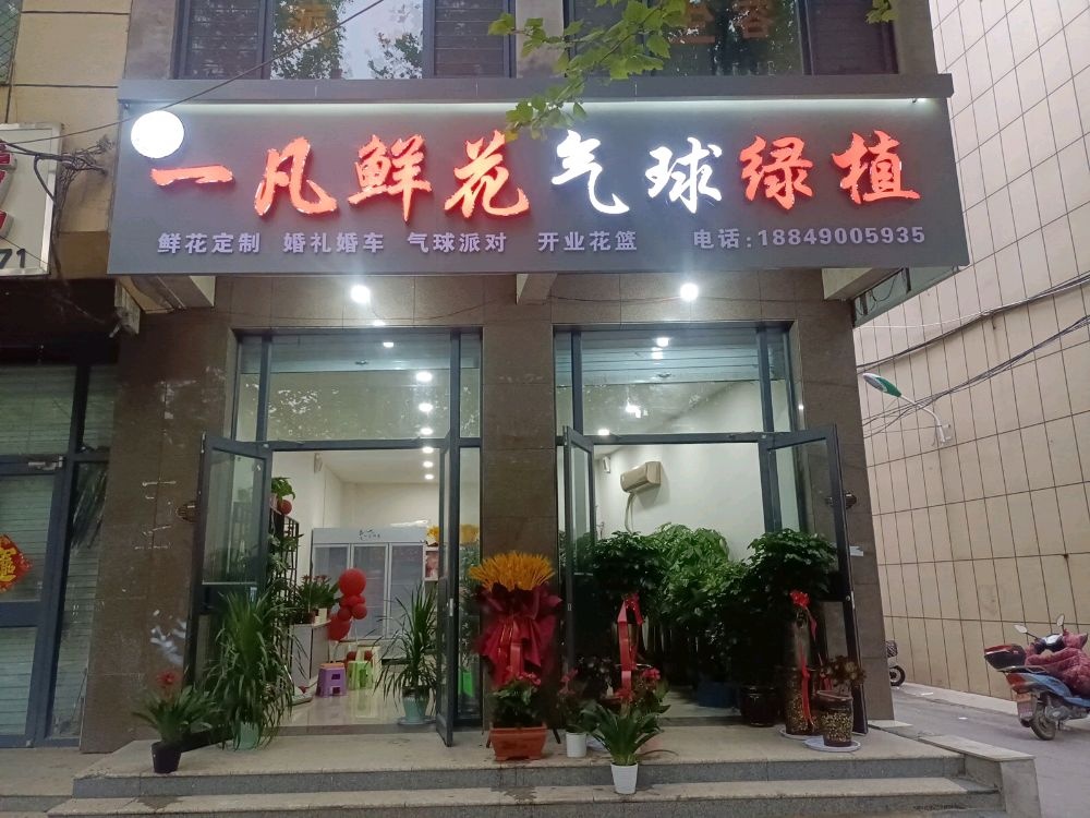 一凡鲜花气球绿植