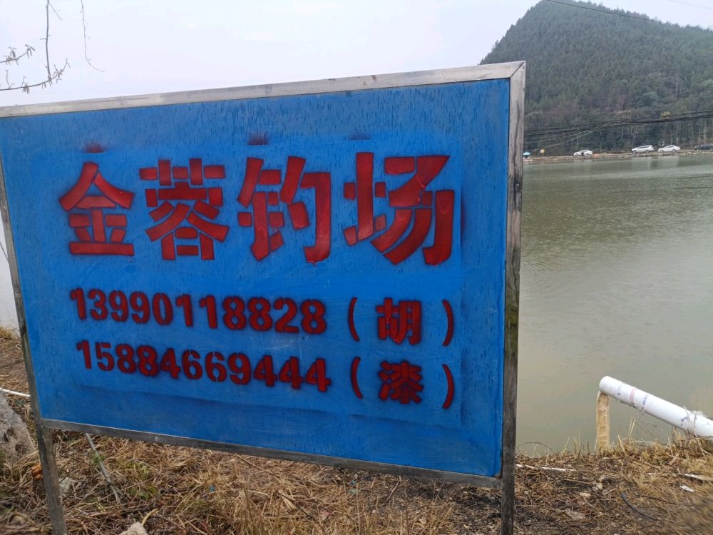 金蓉钓场
