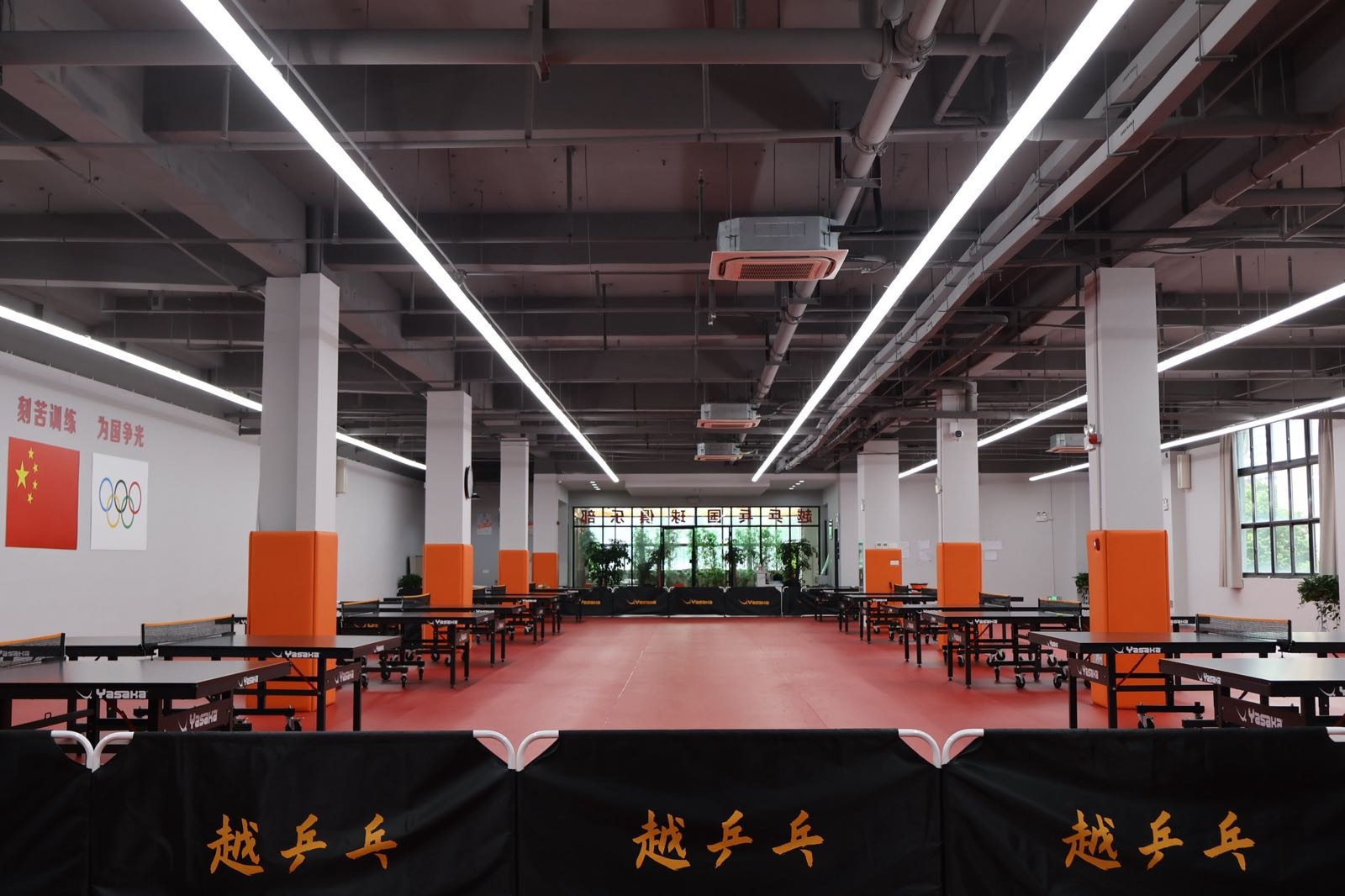 越乒乓国球俱乐部