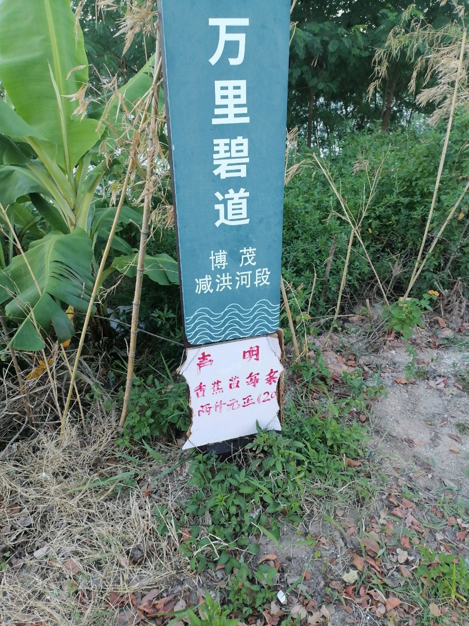 博茂减洪河碧道