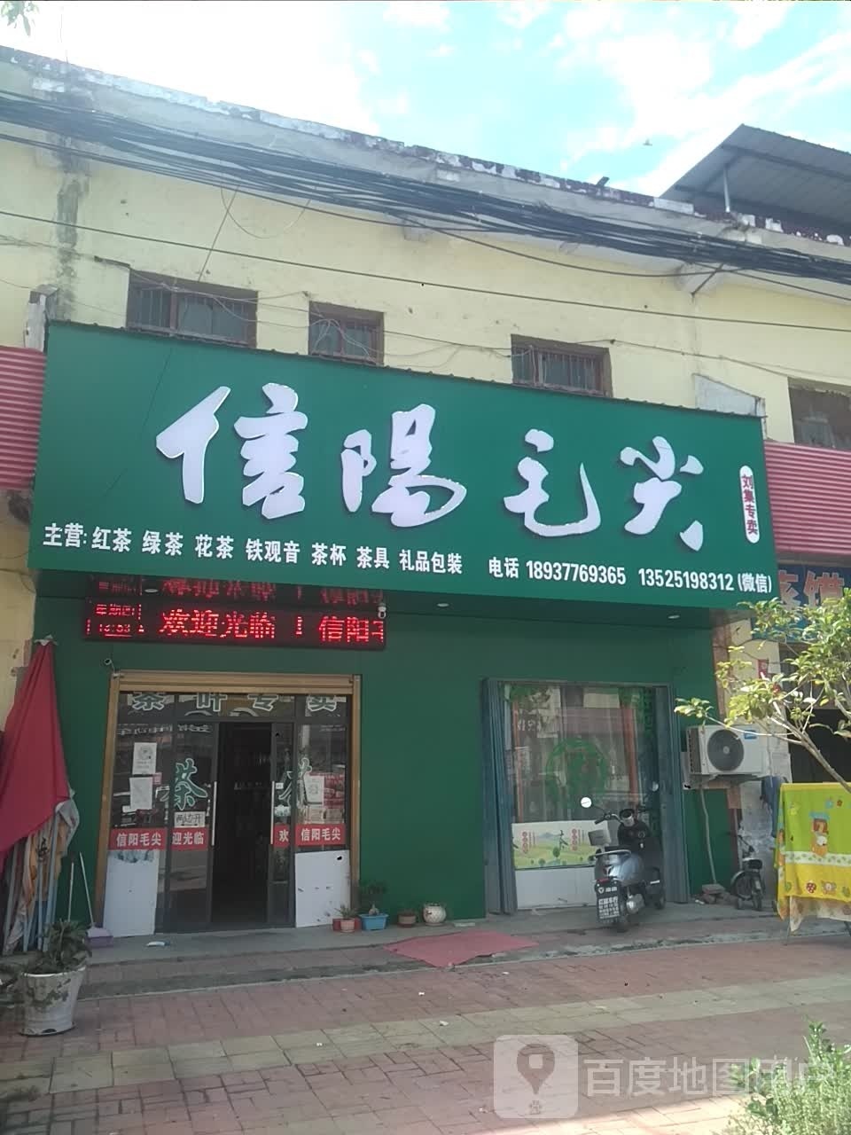 信阳毛尖(刘集店)