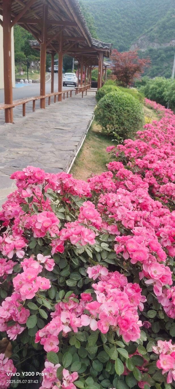 徐家坪铁路风情小镇