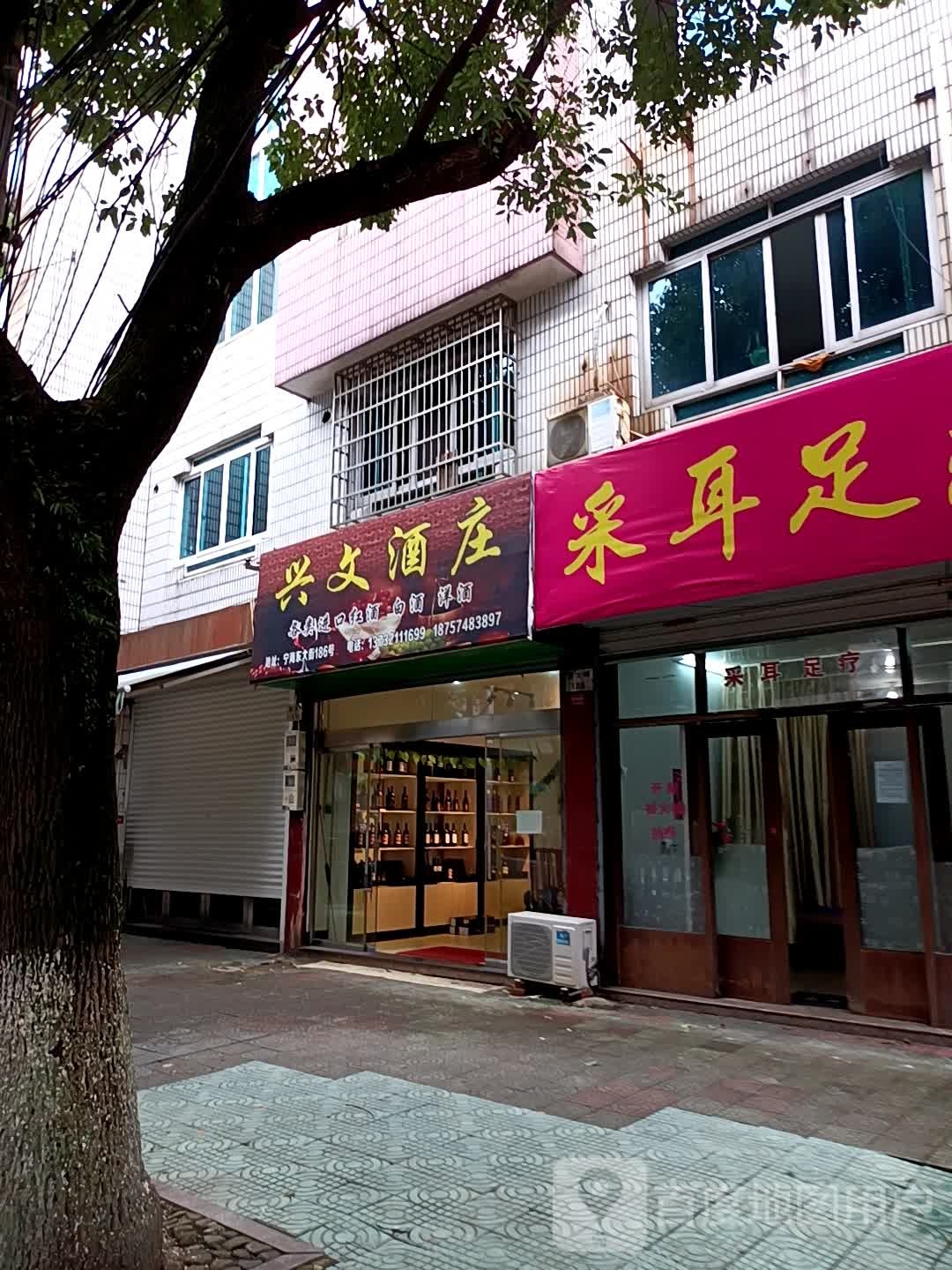 专业采耳