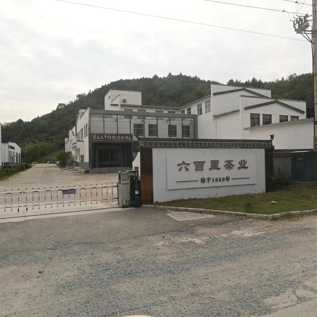 黄山太平猴魁博物馆