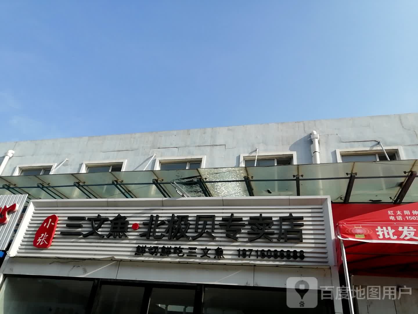 小张三。文鱼北极贝专卖店