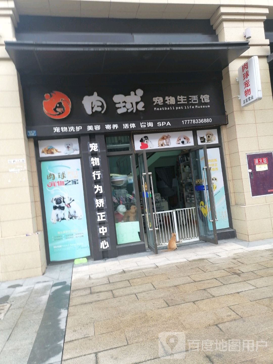 肉球宠物(鸿通·凤凰国际店)