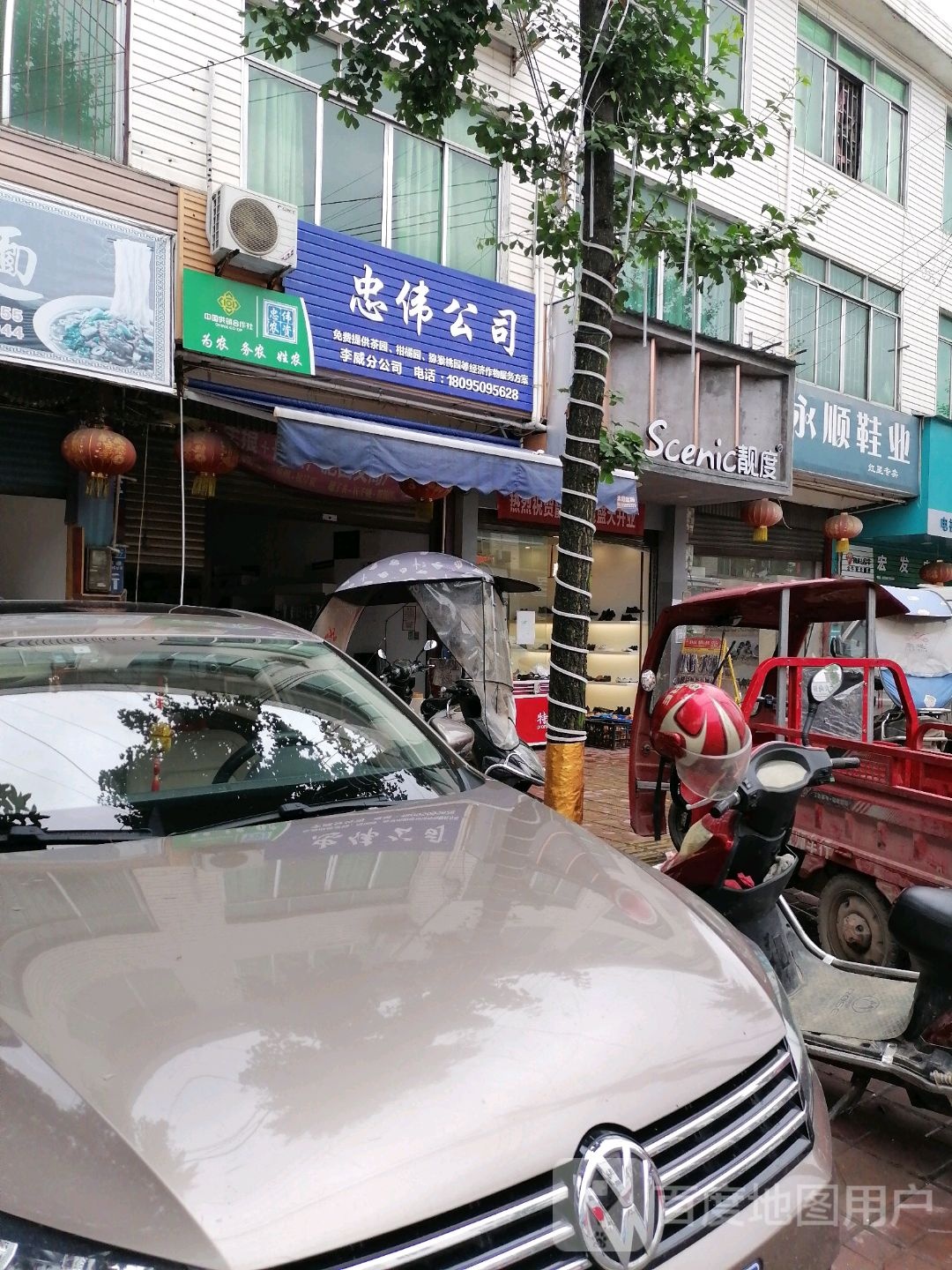 忠伟公司