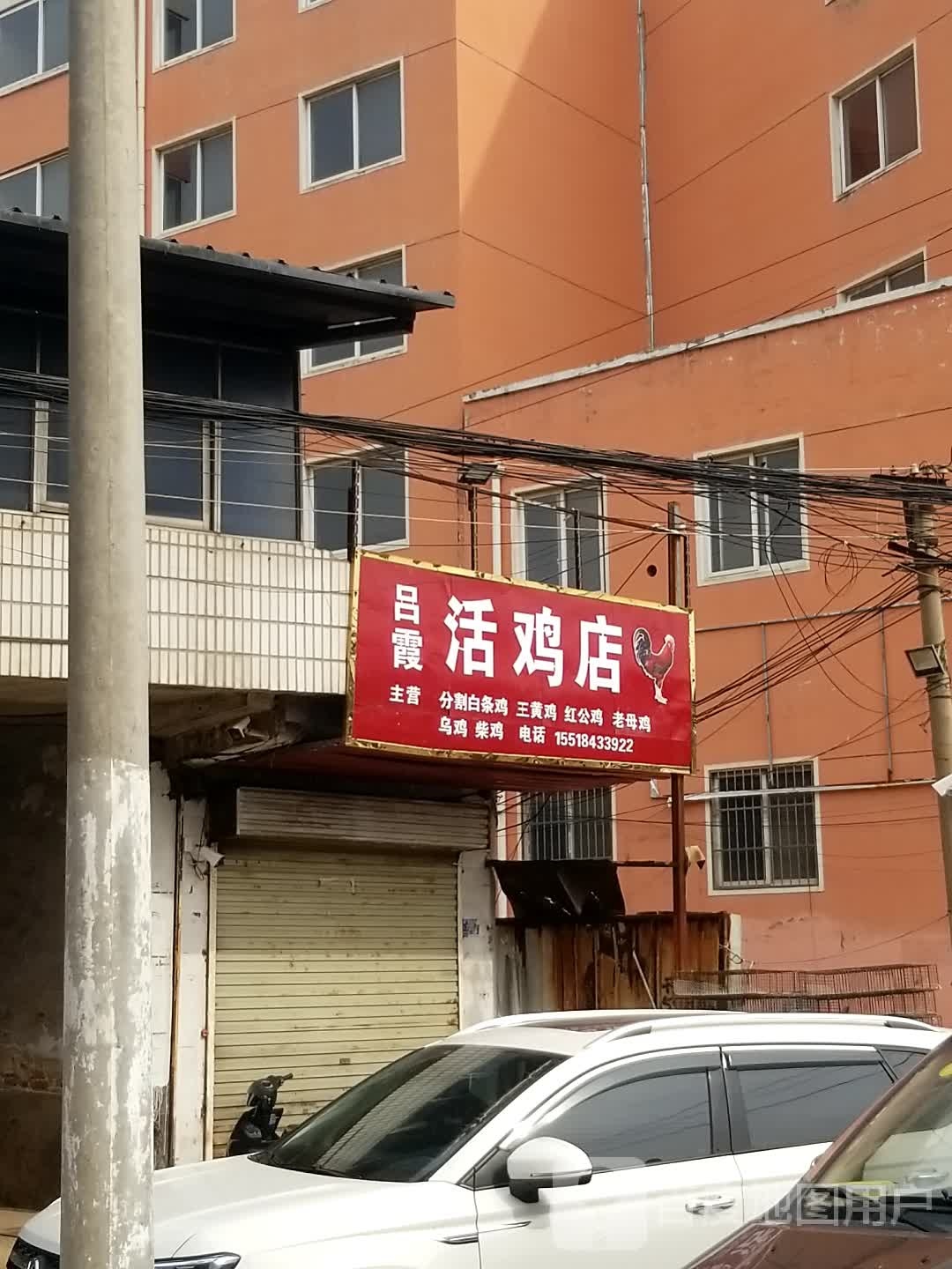 沈丘县吕霞活鸡店