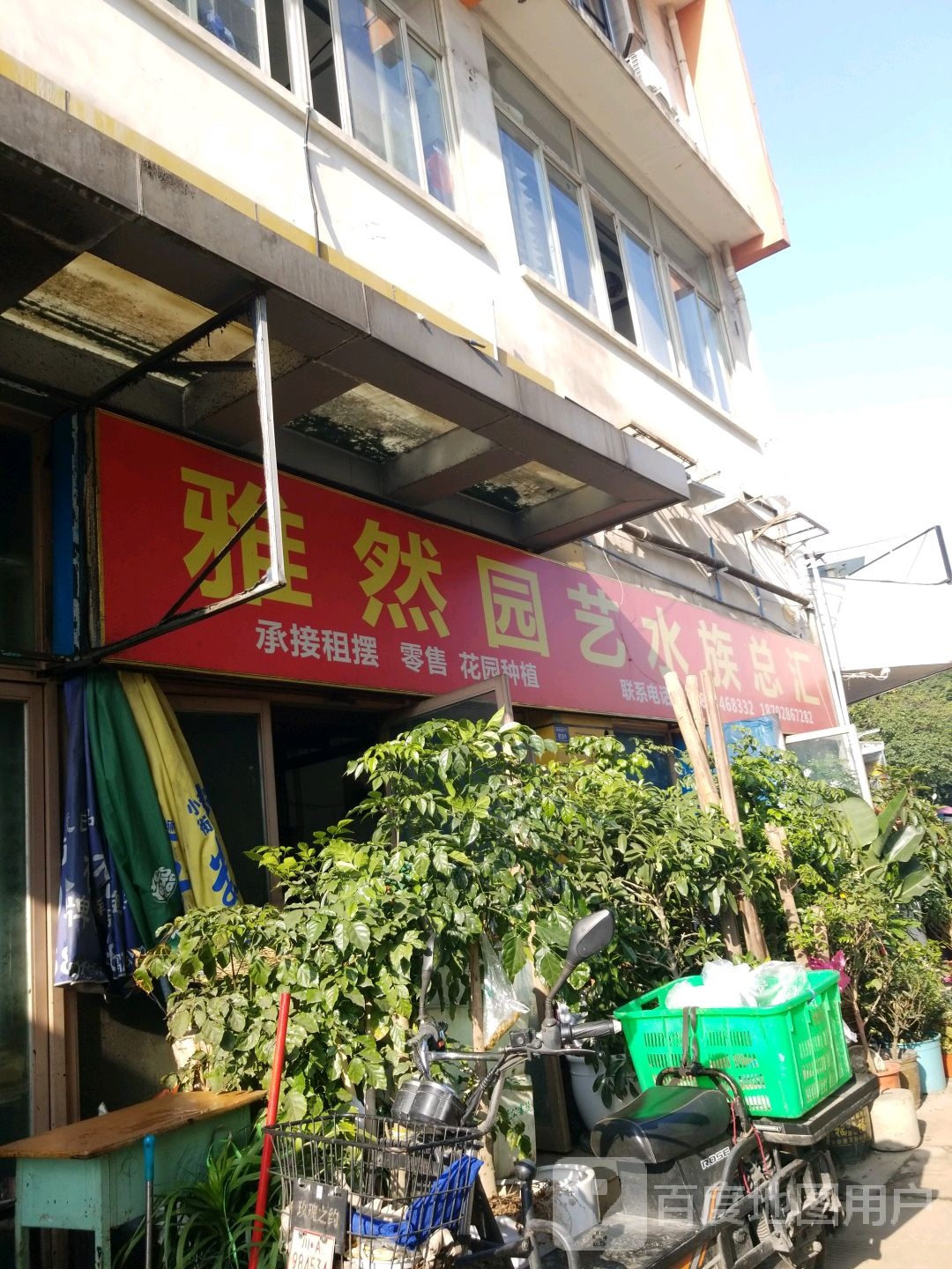 雅然园艺花卉水族总汇(双楠融域二期店)