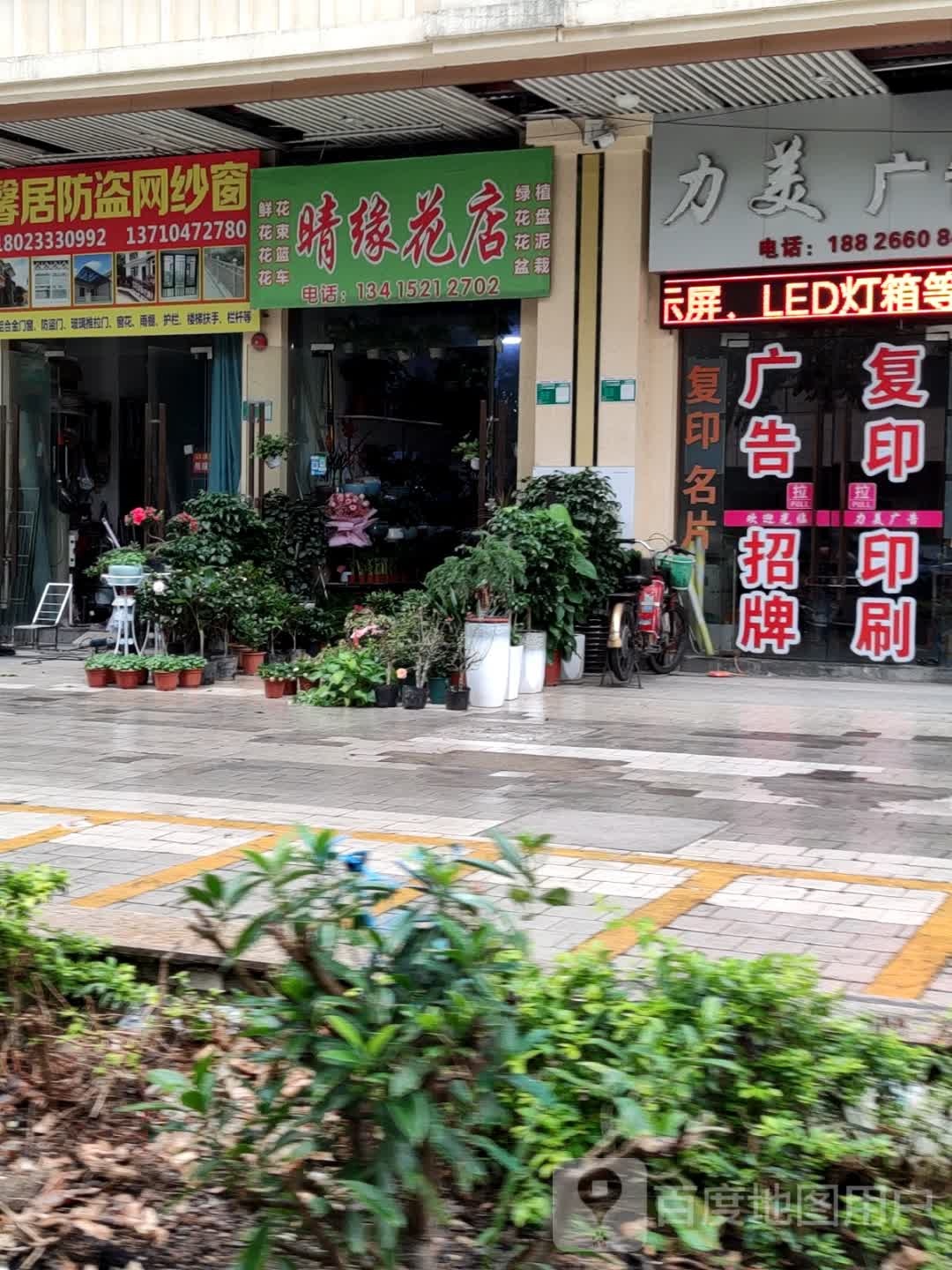 晴缘花点(花思忆)