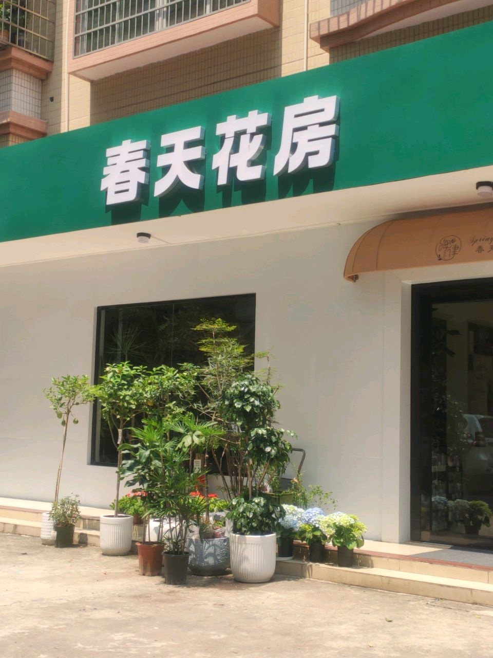 春天花房(油七店)
