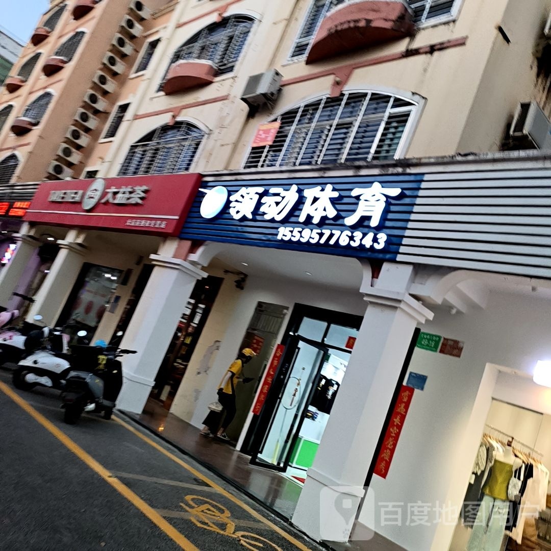 领动体育
