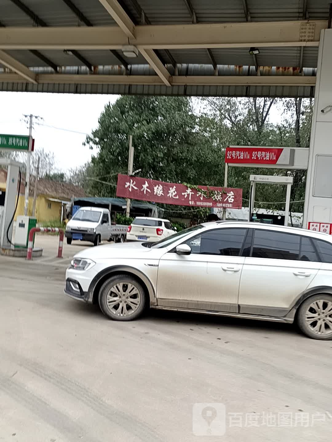 水木缘花卉水景店