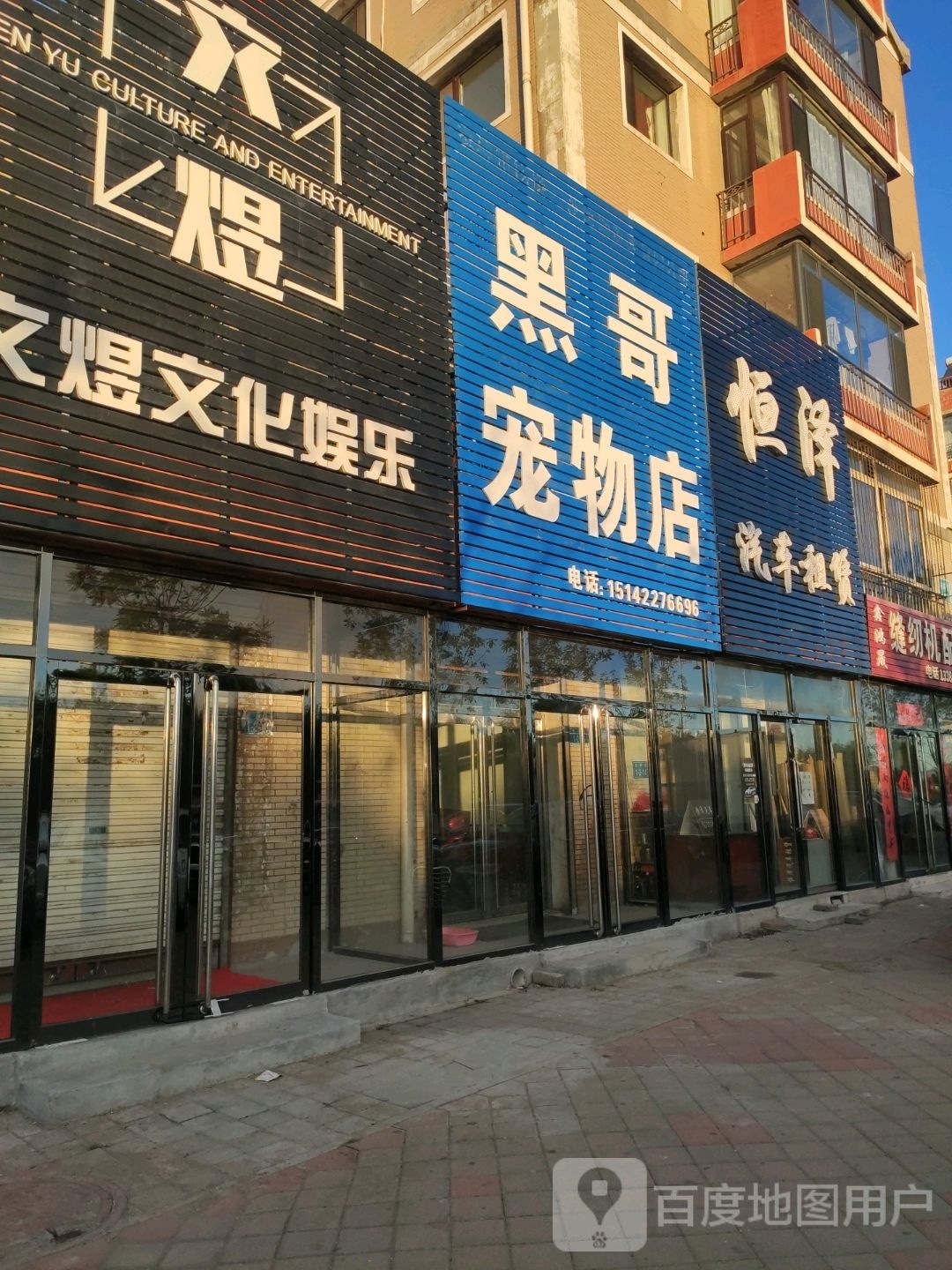 黑哥宠物店