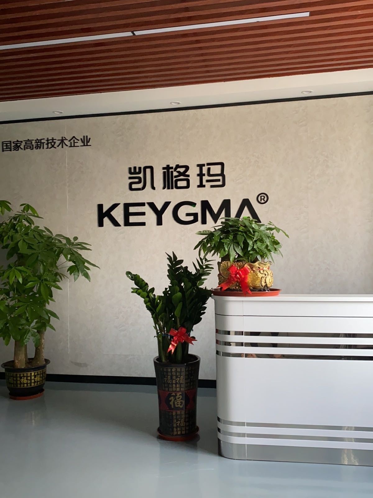 深圳市凯格玛电器实业有限公司