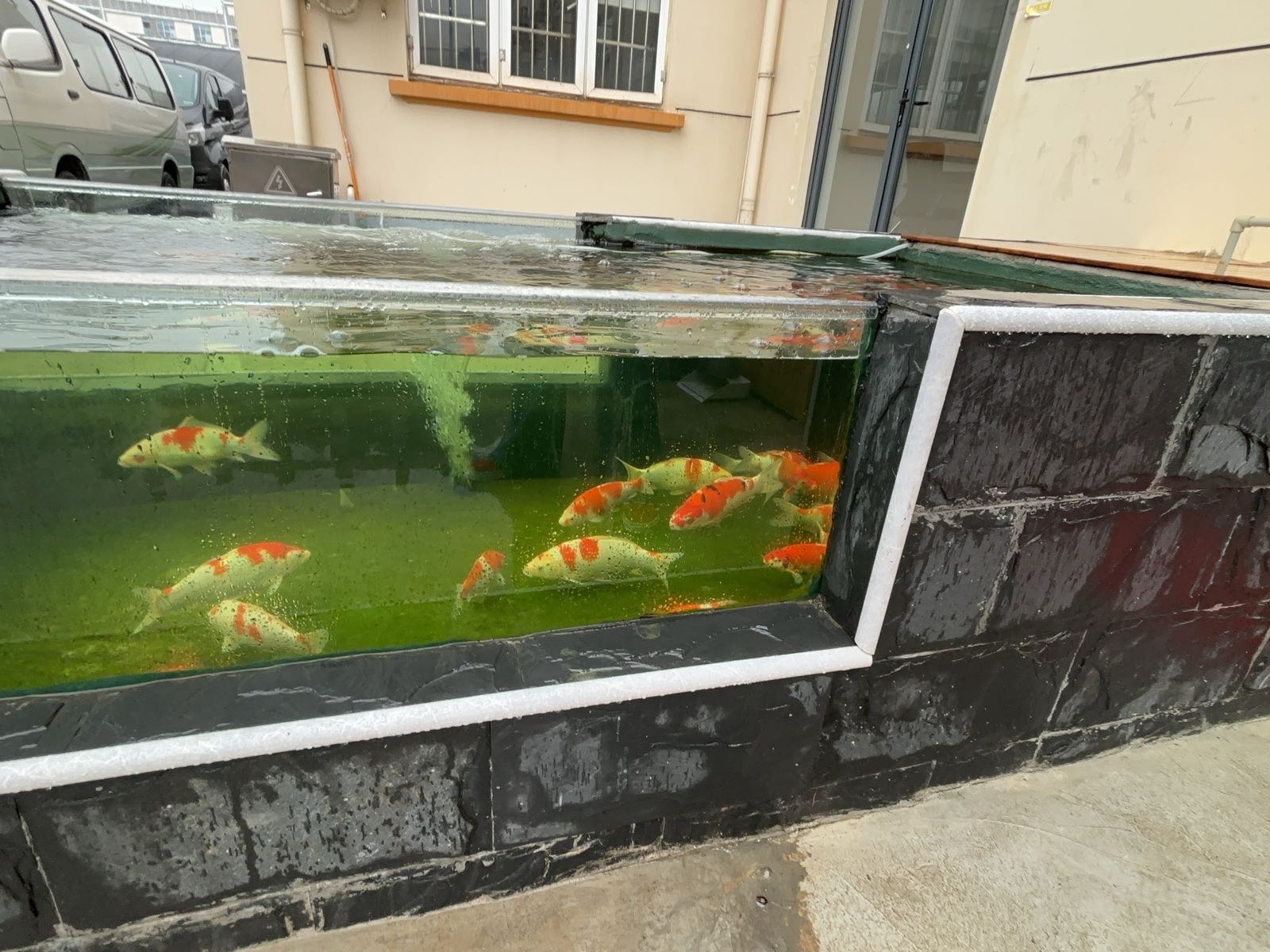 闻渔水族
