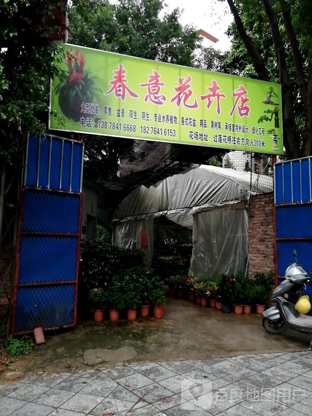 春意花卉店