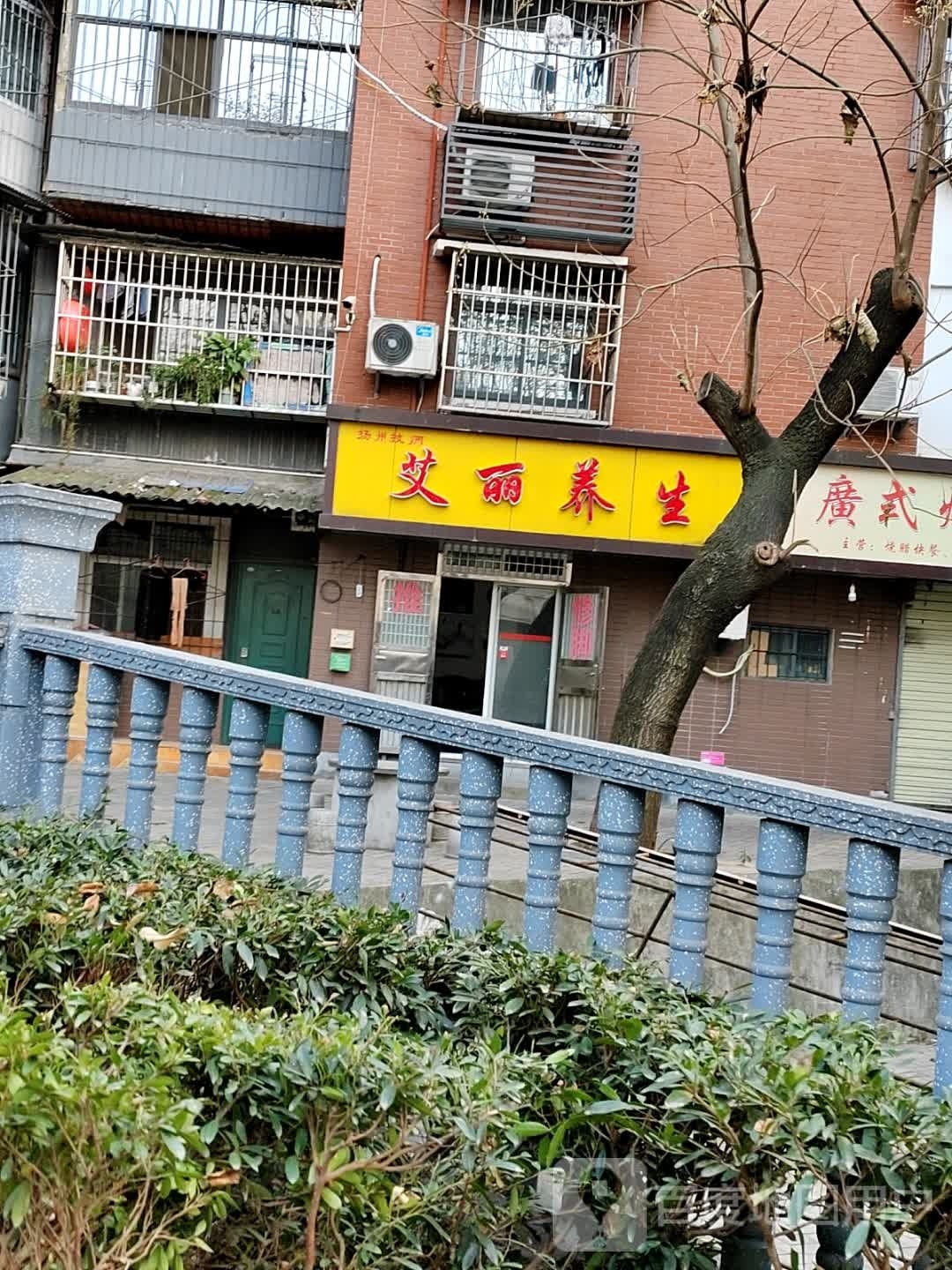 艾丽养生