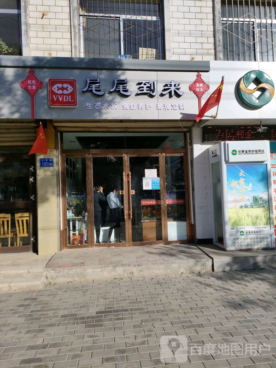尾尾到来生态水族鱼缸养护