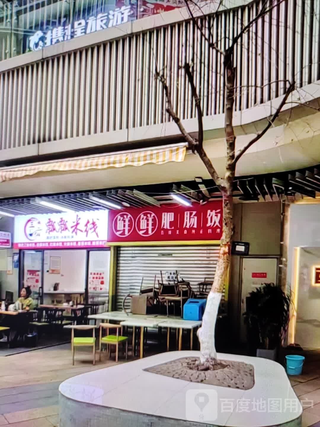 鲜鲜肥肠饭(新城东路店)