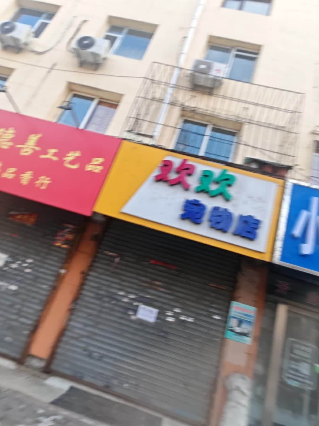 欢欢宠物店