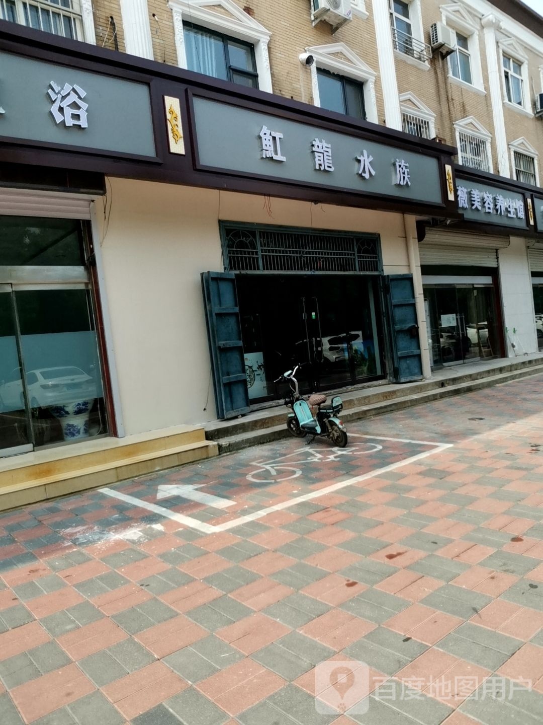 魟龙水族