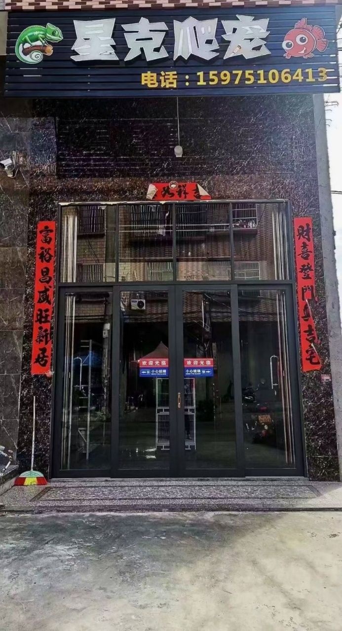 星克爬宠