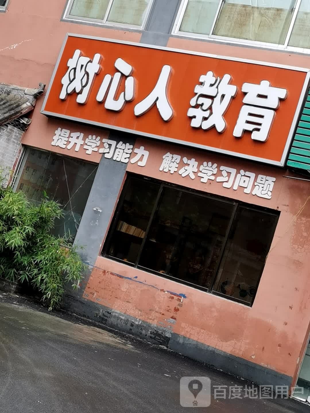 树心人市教育