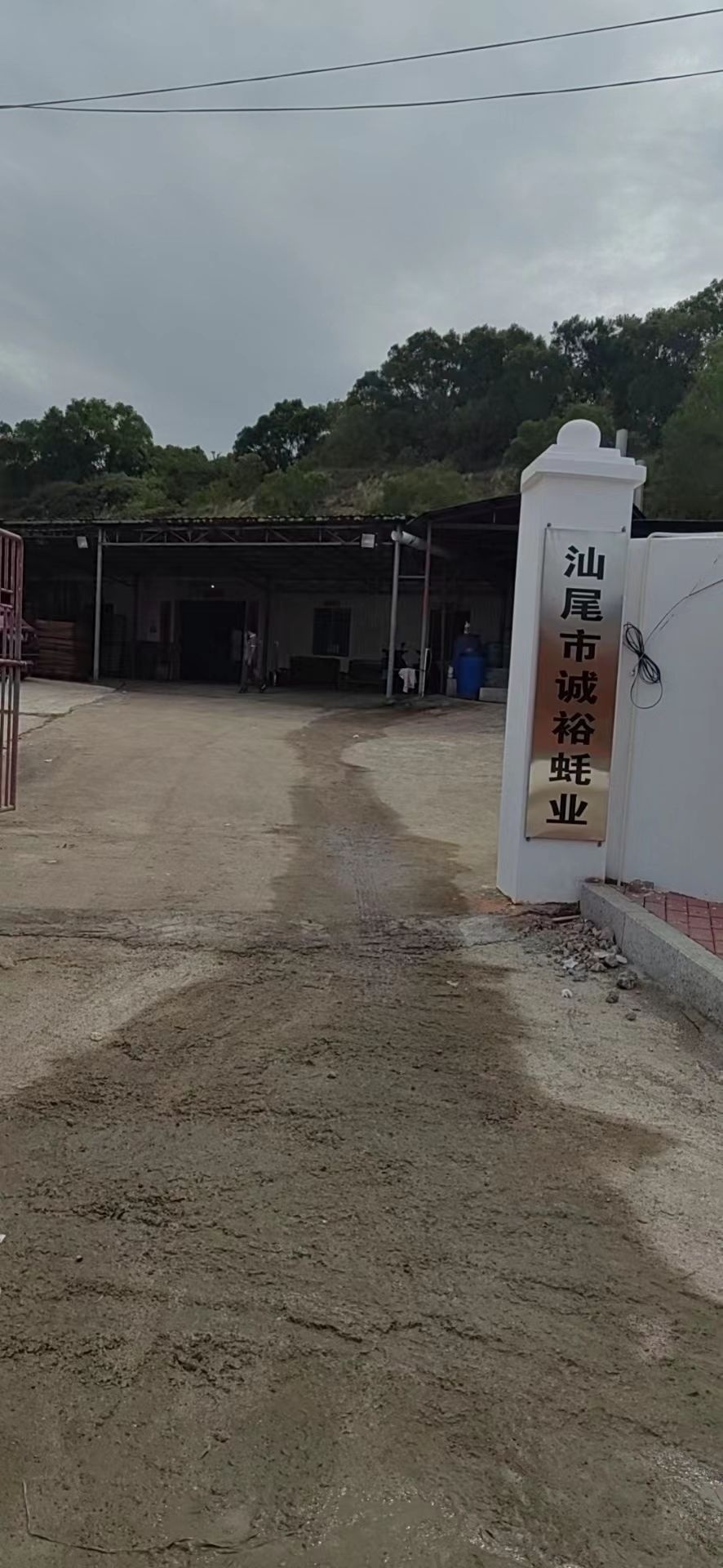 汕尾市诚裕蚝业