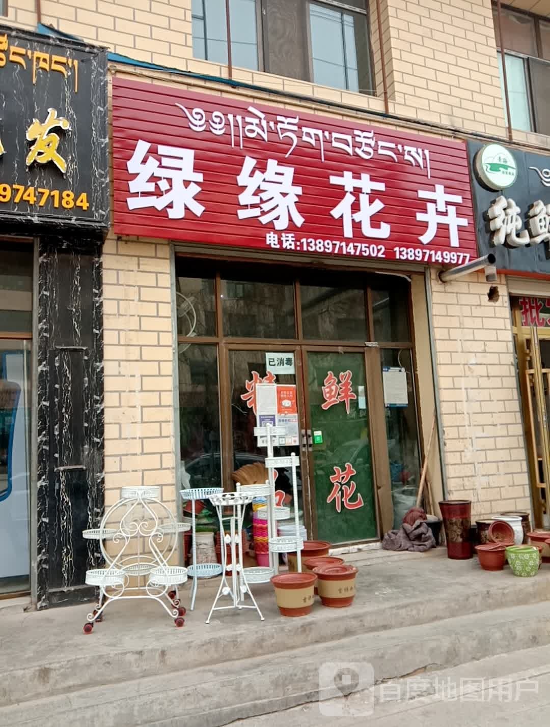 绿缘花卉(东大街店)