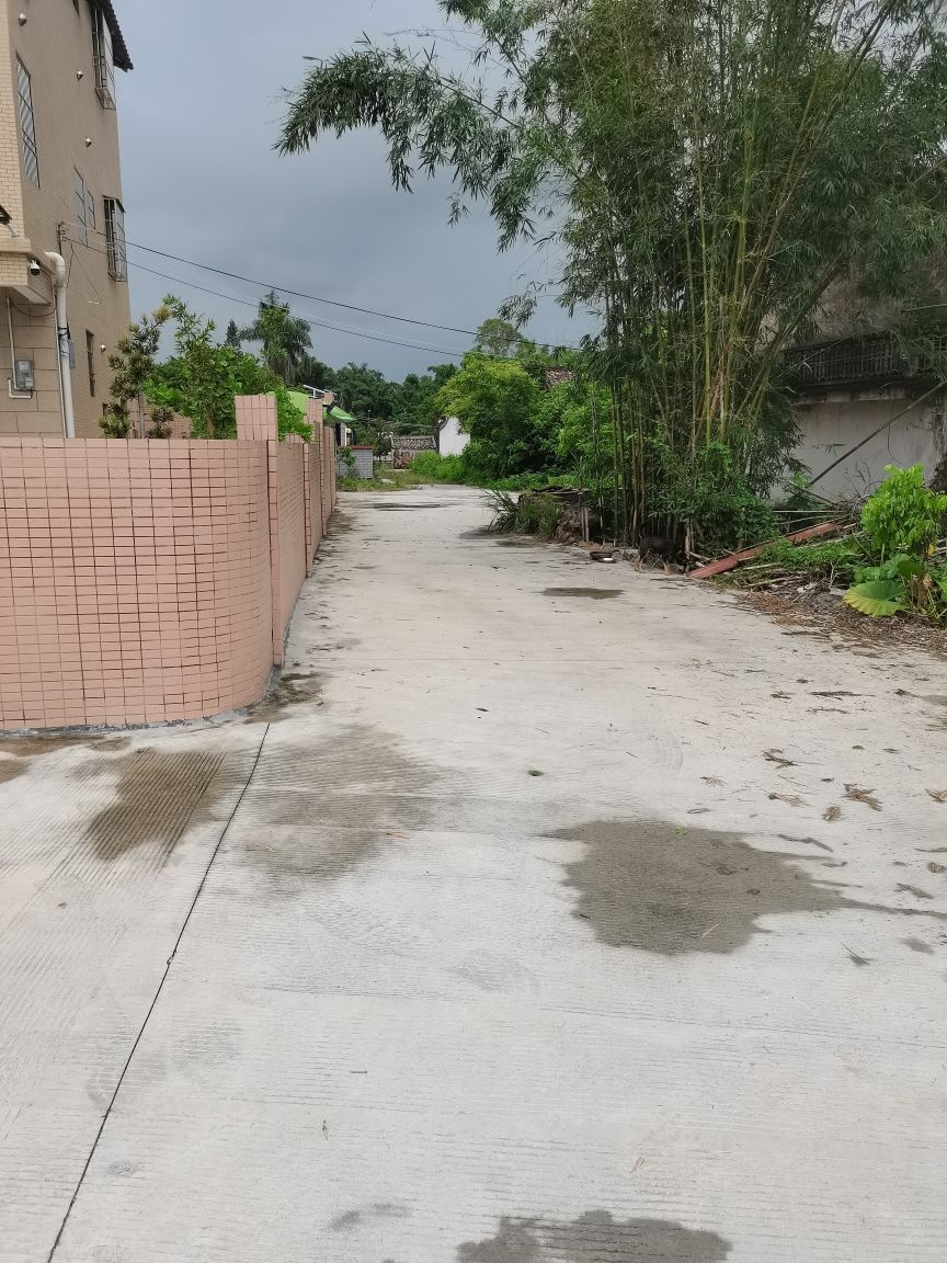 吊沥村吊沥围小组148号