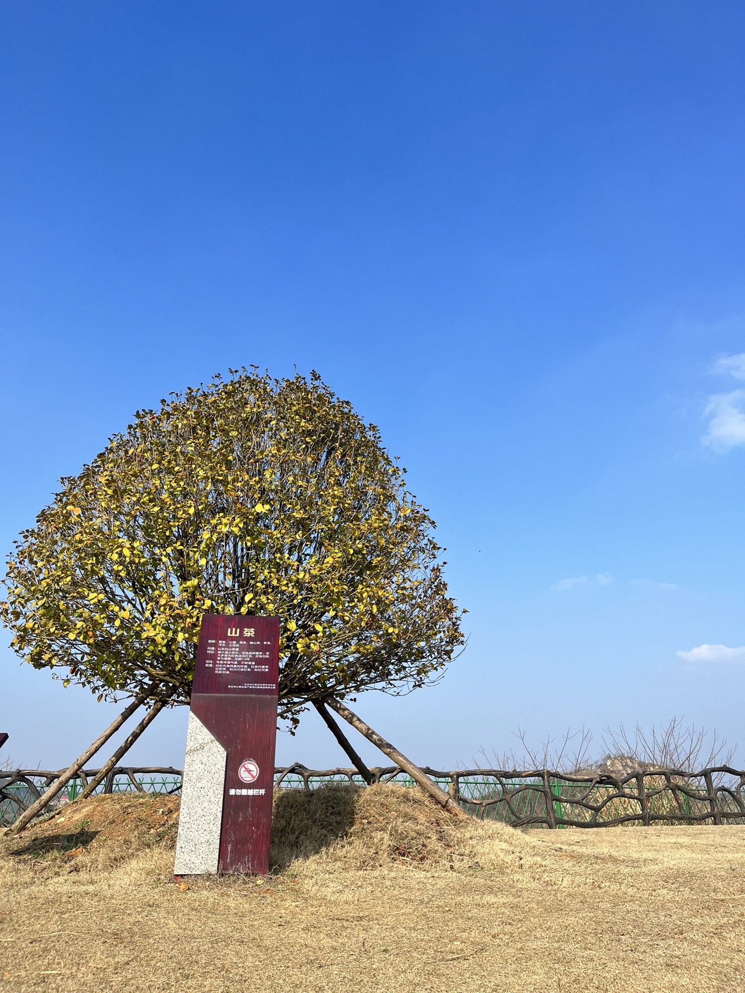 江夏灵山生态文化旅游区