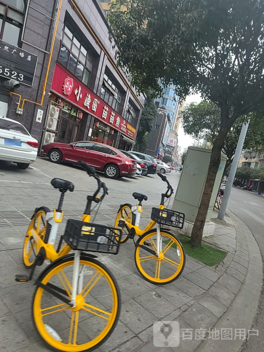 小渔国苗苗鱼(春熙广场店)