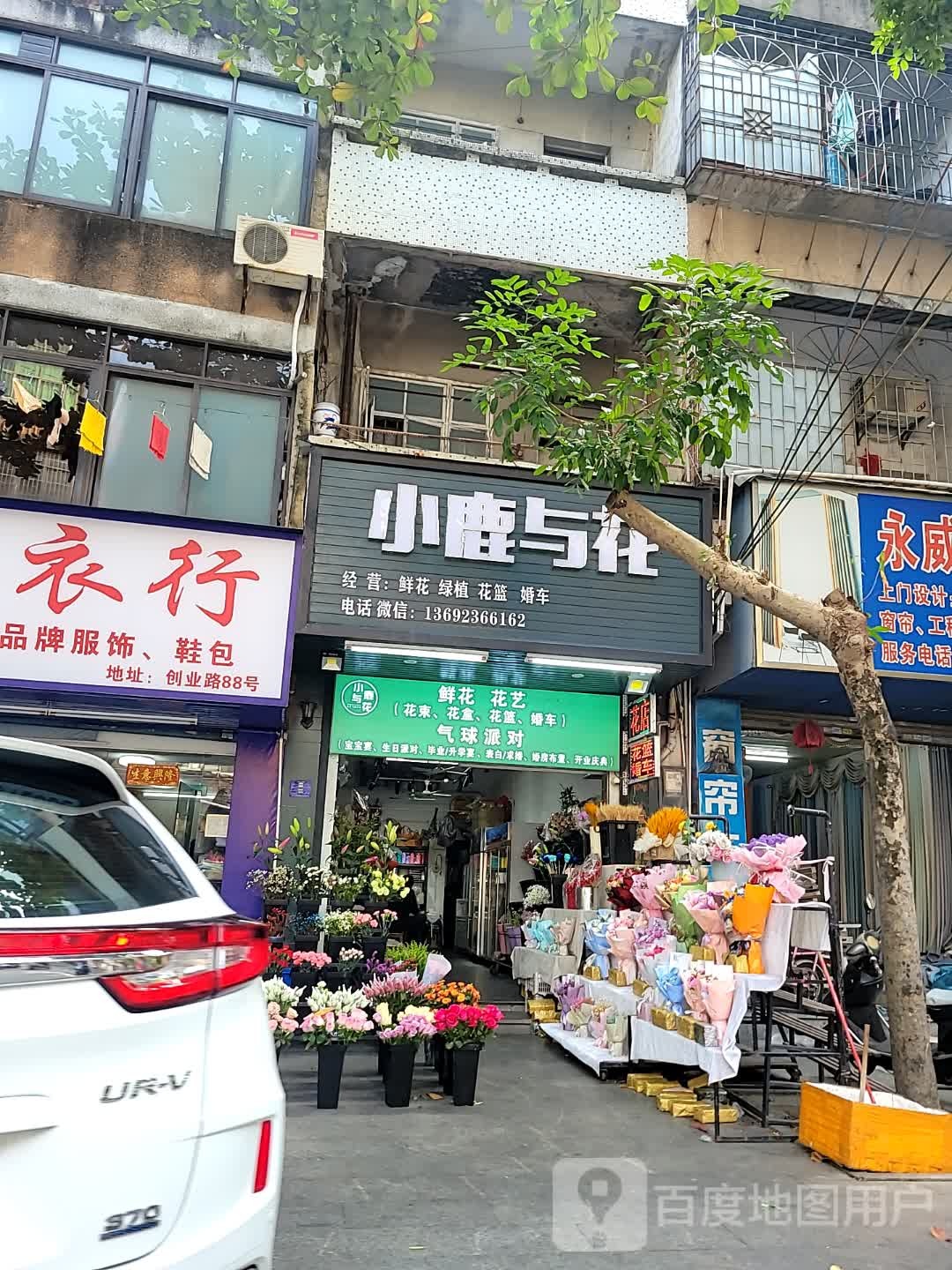 小鹿与花