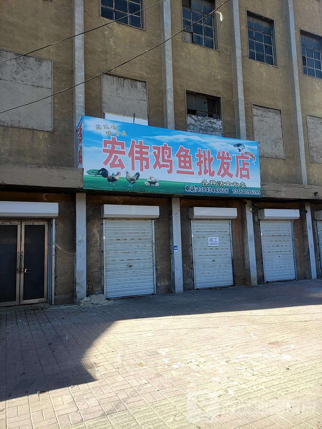 宏伟鸡鱼批发店