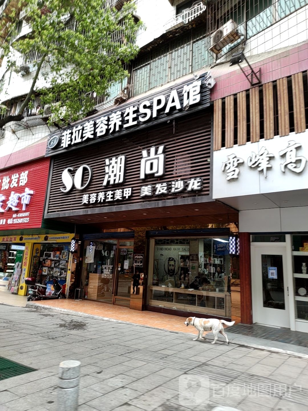 菲拉美容养SPA馆