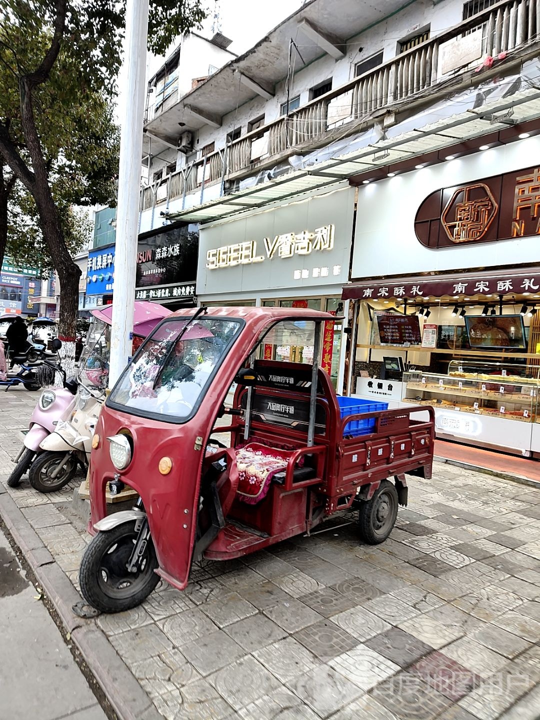 内乡县森森水族(菊潭大街店)