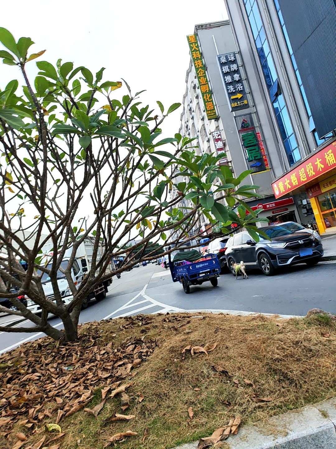 桌球棋牌推拿洗浴