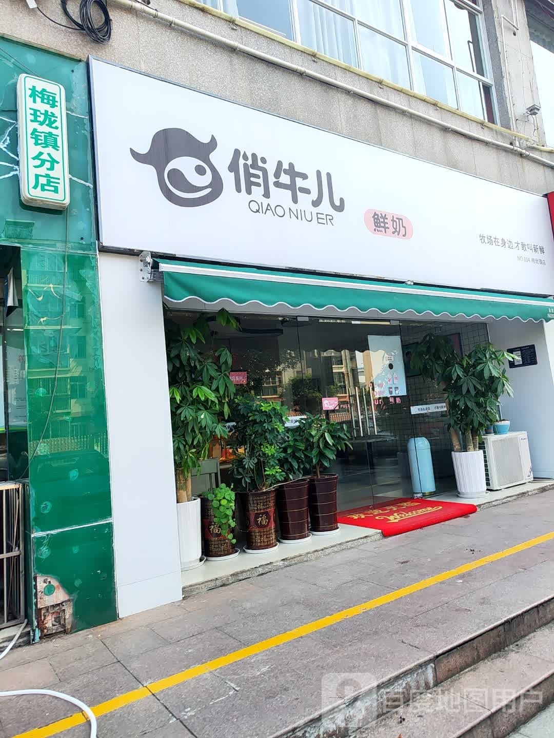 俏牛鲜奶(梅珑镇店)