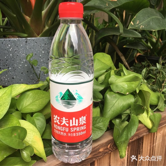 韩试炸鸡