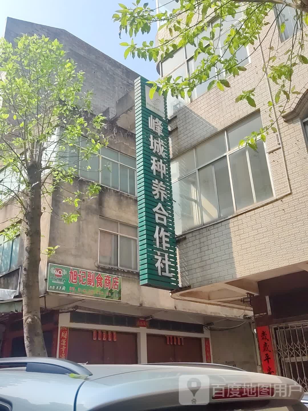 旭记副食商店