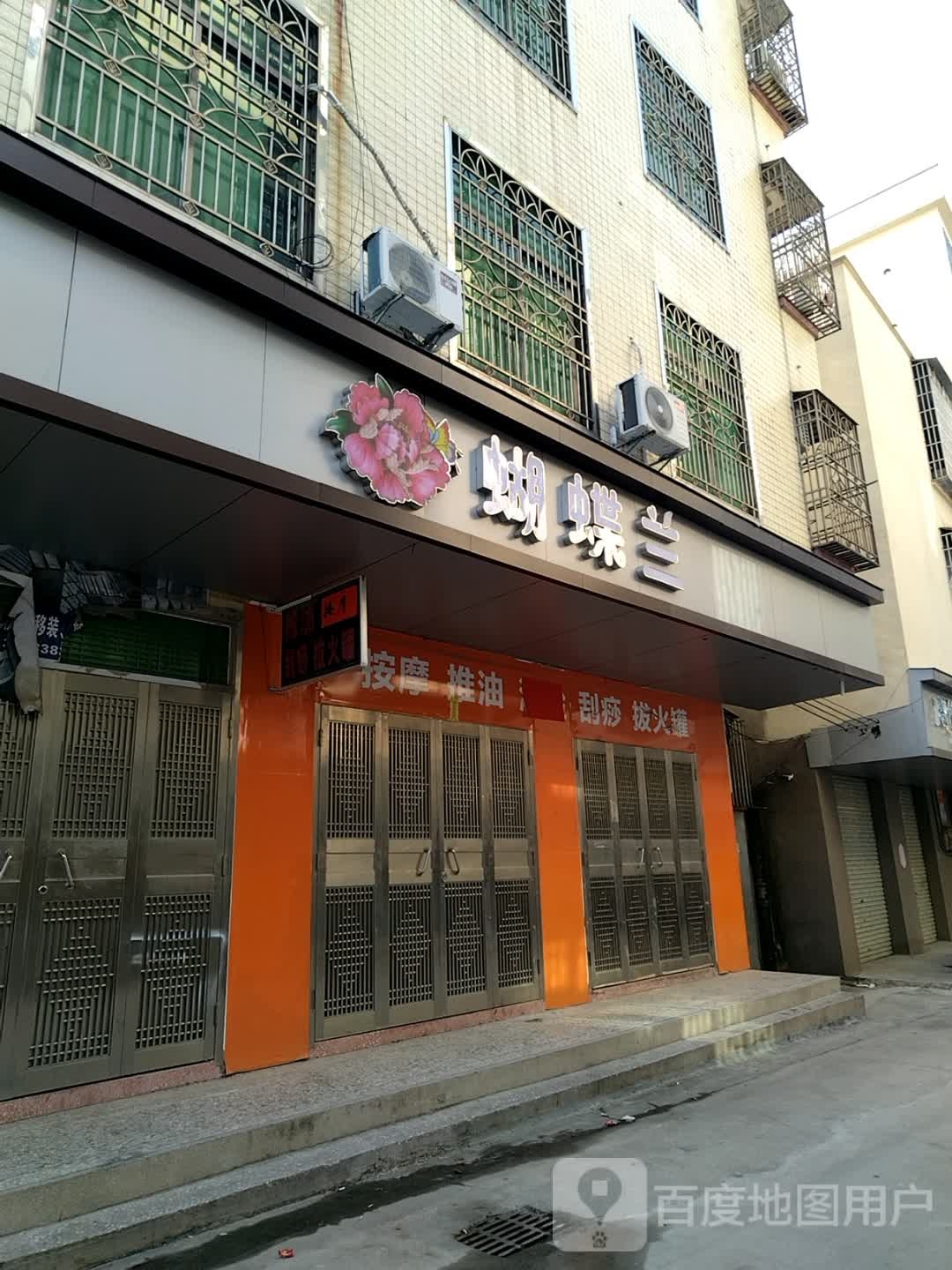 蝴蝶兰(人和街店)