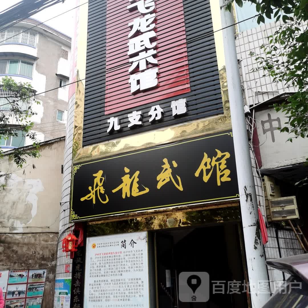 飞龙武馆