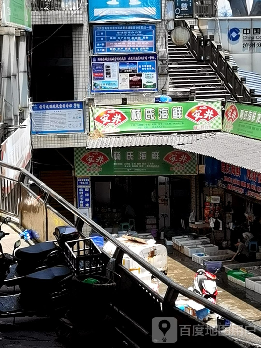 榻氏杨涛缯海鲜