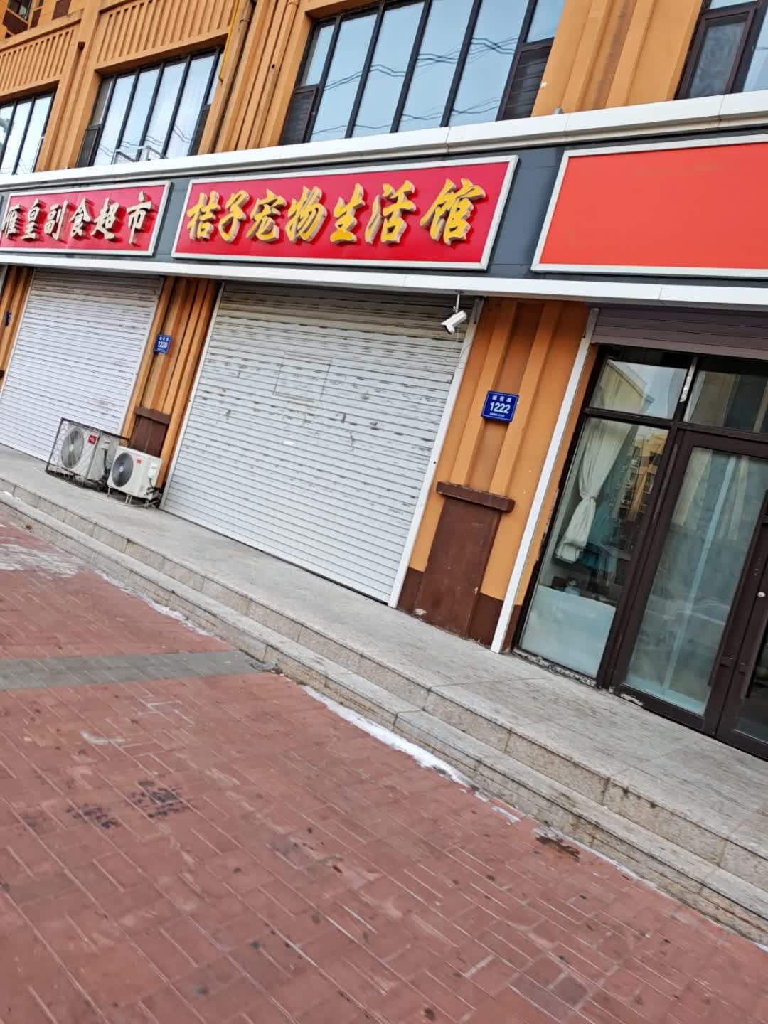 桔子宠物生活馆