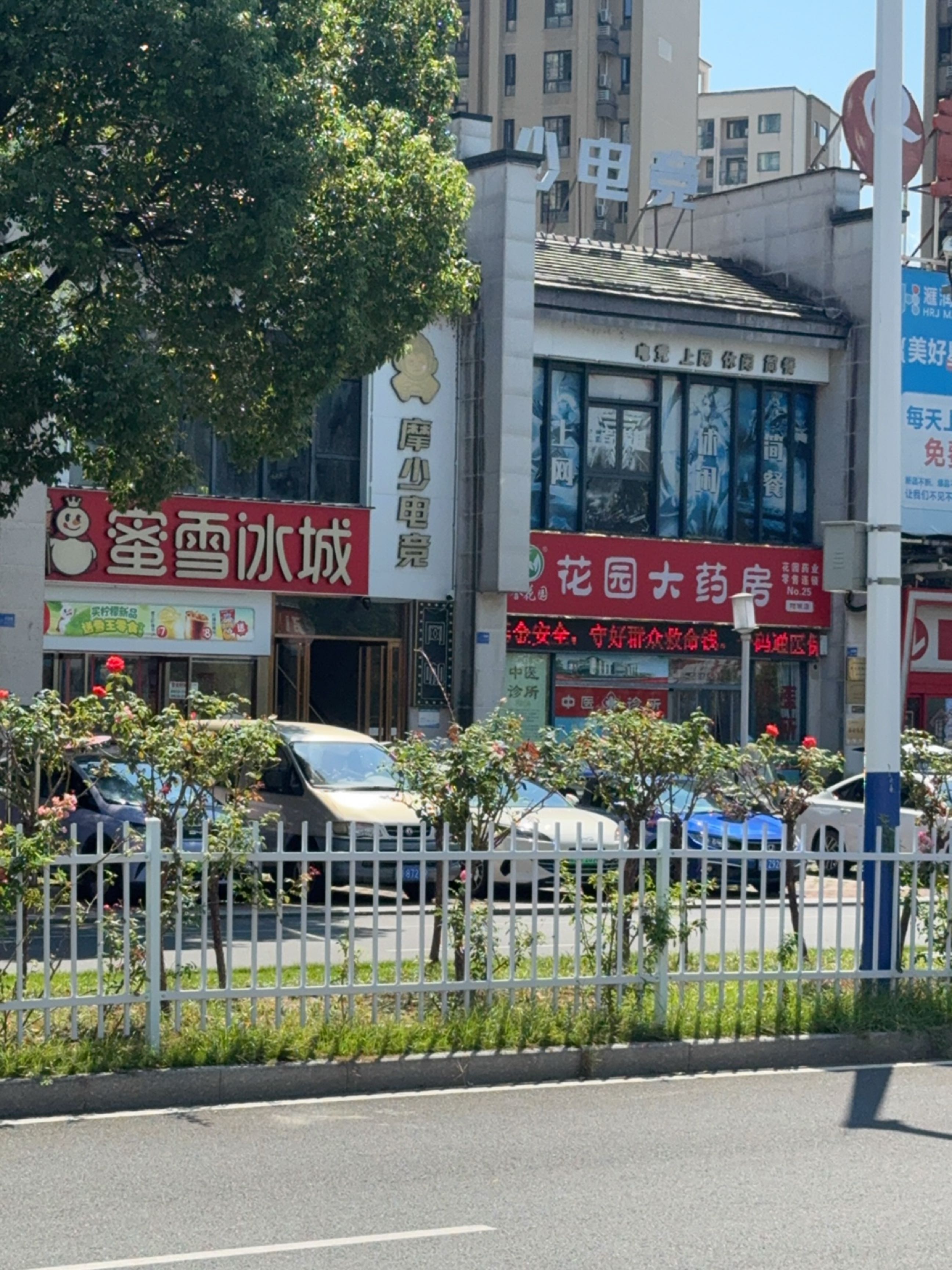 摩少电竞
