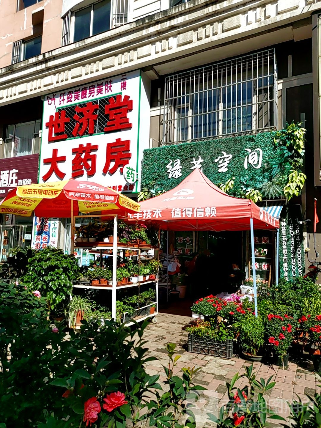 绿艺空间花卉店