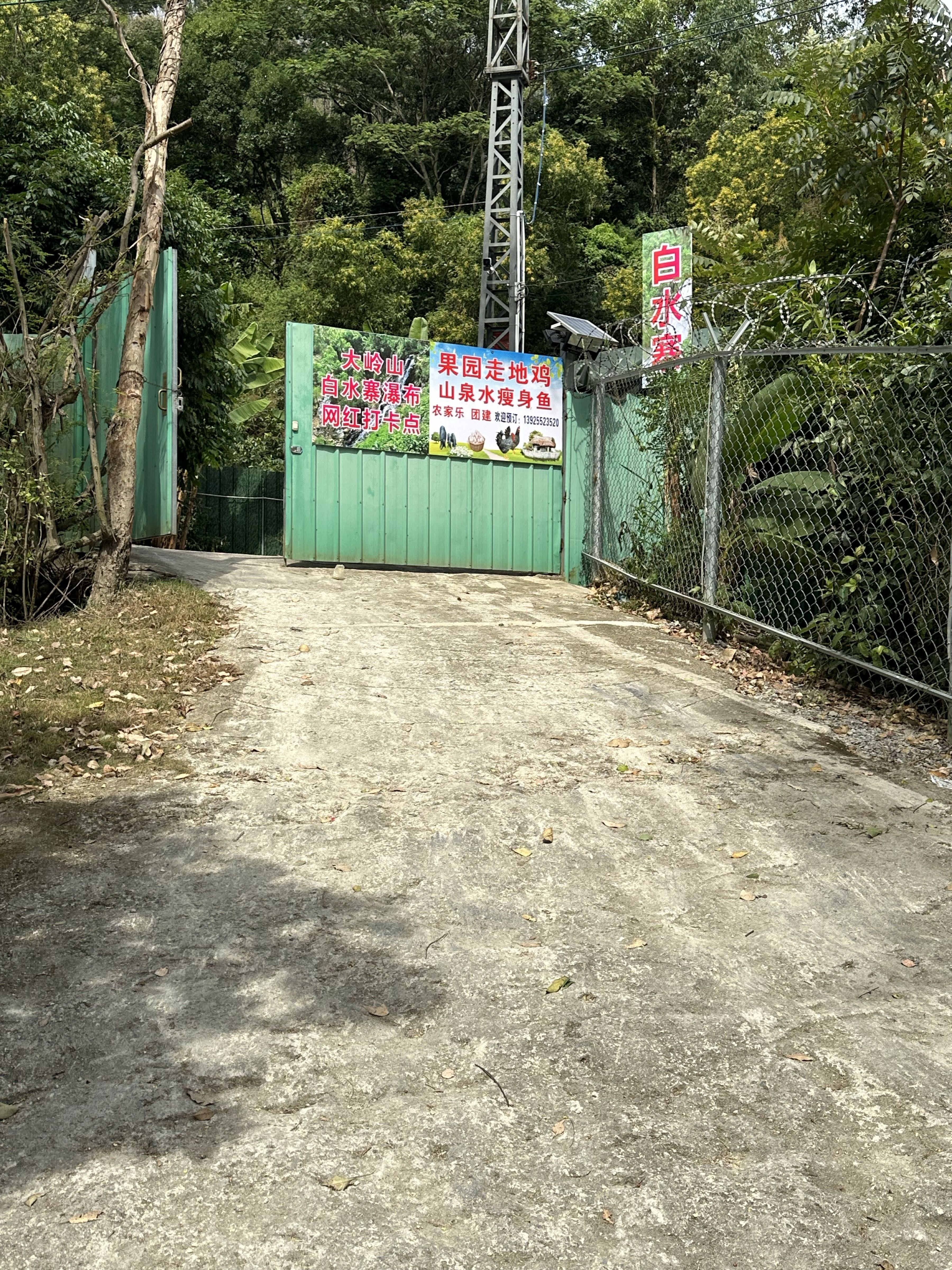 白水寨瀑布网红打卡点