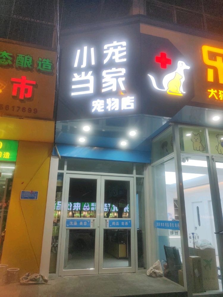 小宠当家宠物店