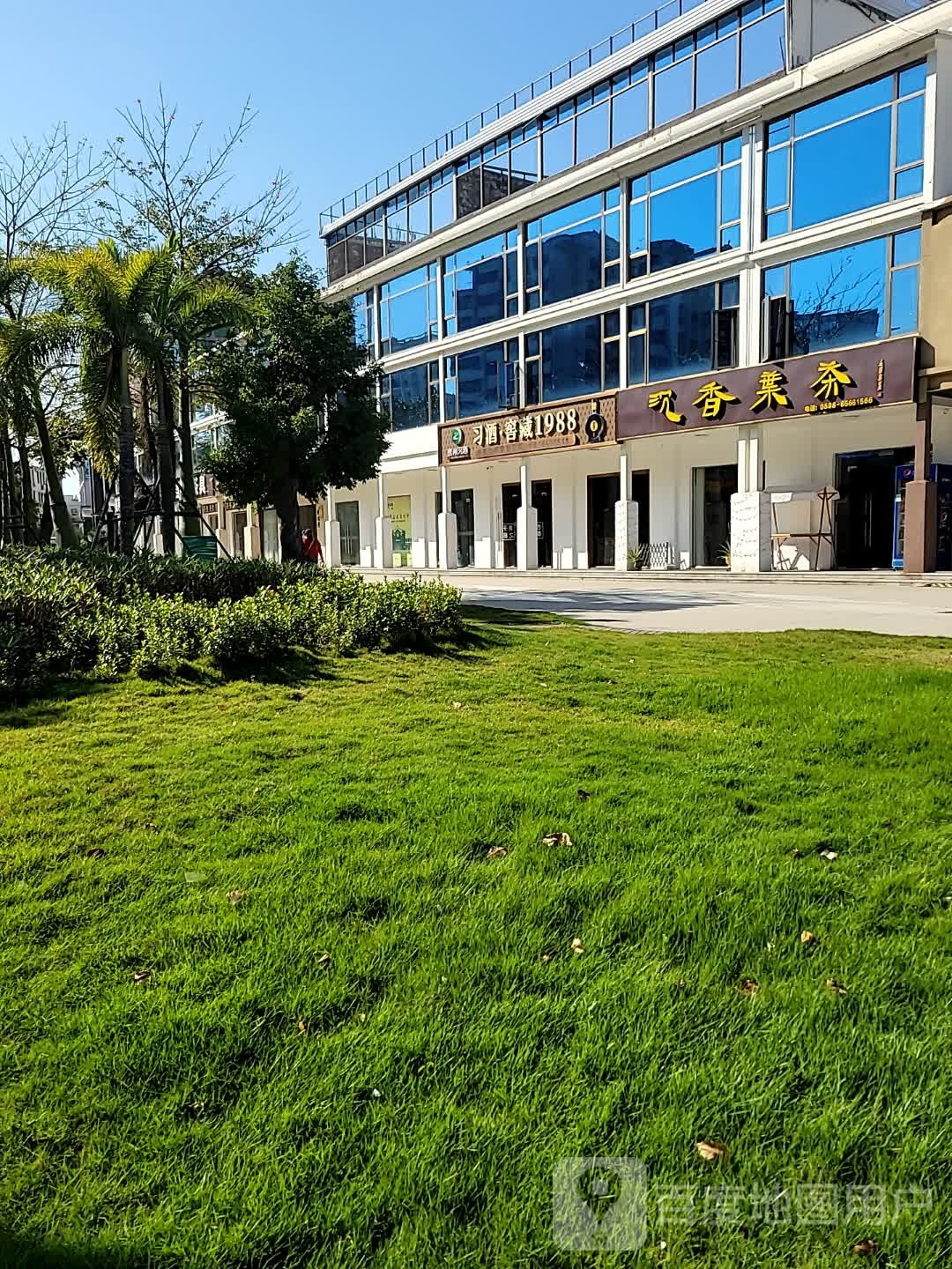 沉香叶茶(旗舰店)